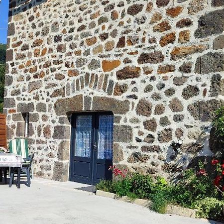 La Basse-Cour Apartment Vic-sur-Cère Екстериор снимка