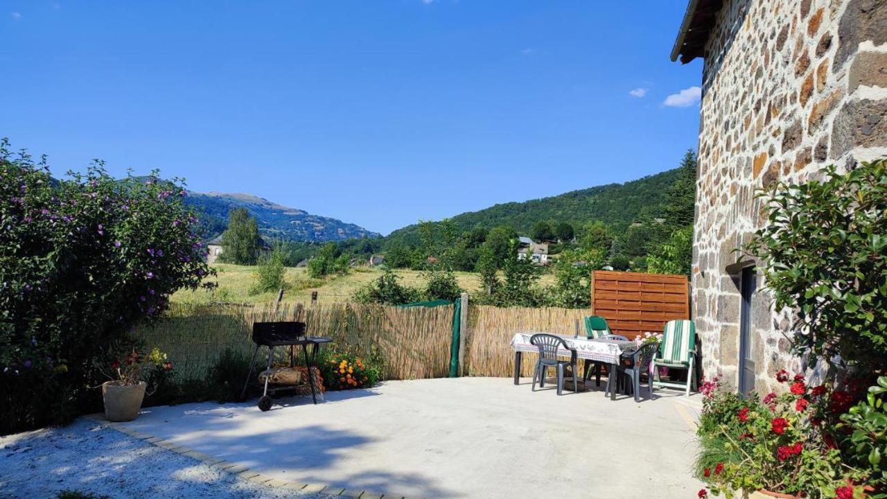 La Basse-Cour Apartment Vic-sur-Cère Екстериор снимка